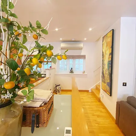 Luxury Belgrave Square Private Mews Townhouse-2